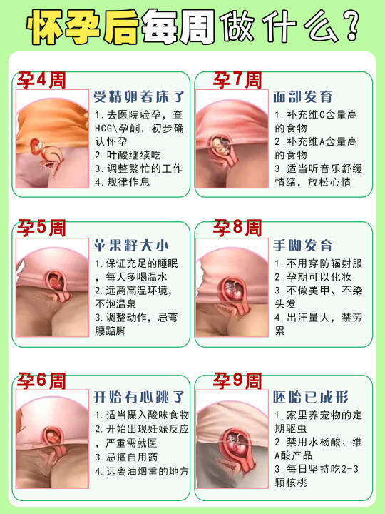 怀孕后每周要做的事！准爸爸妈妈必看很实用