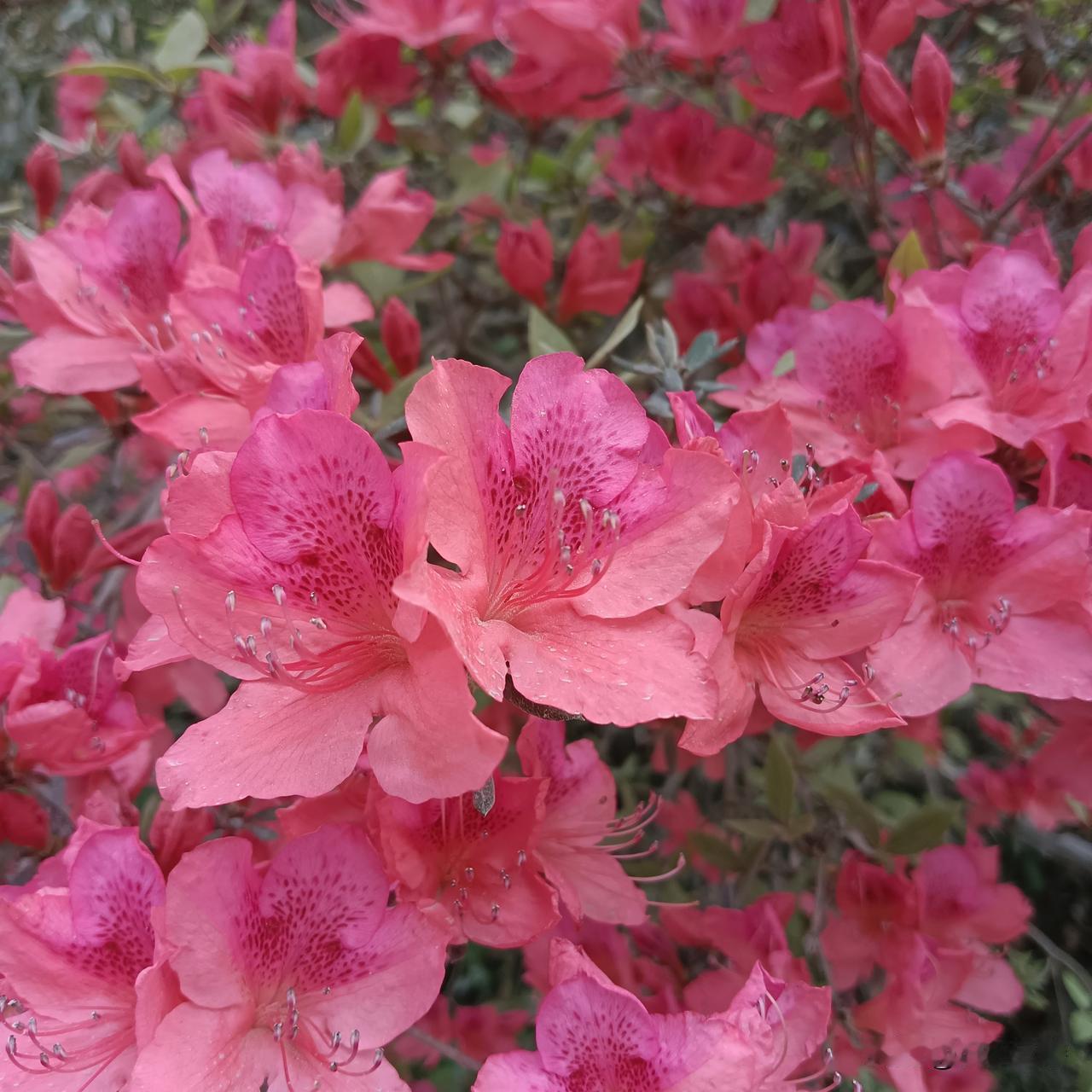 人这一辈子，争来争去，其实都是一场空；愁来愁去，最后苦的是自己。钱财再