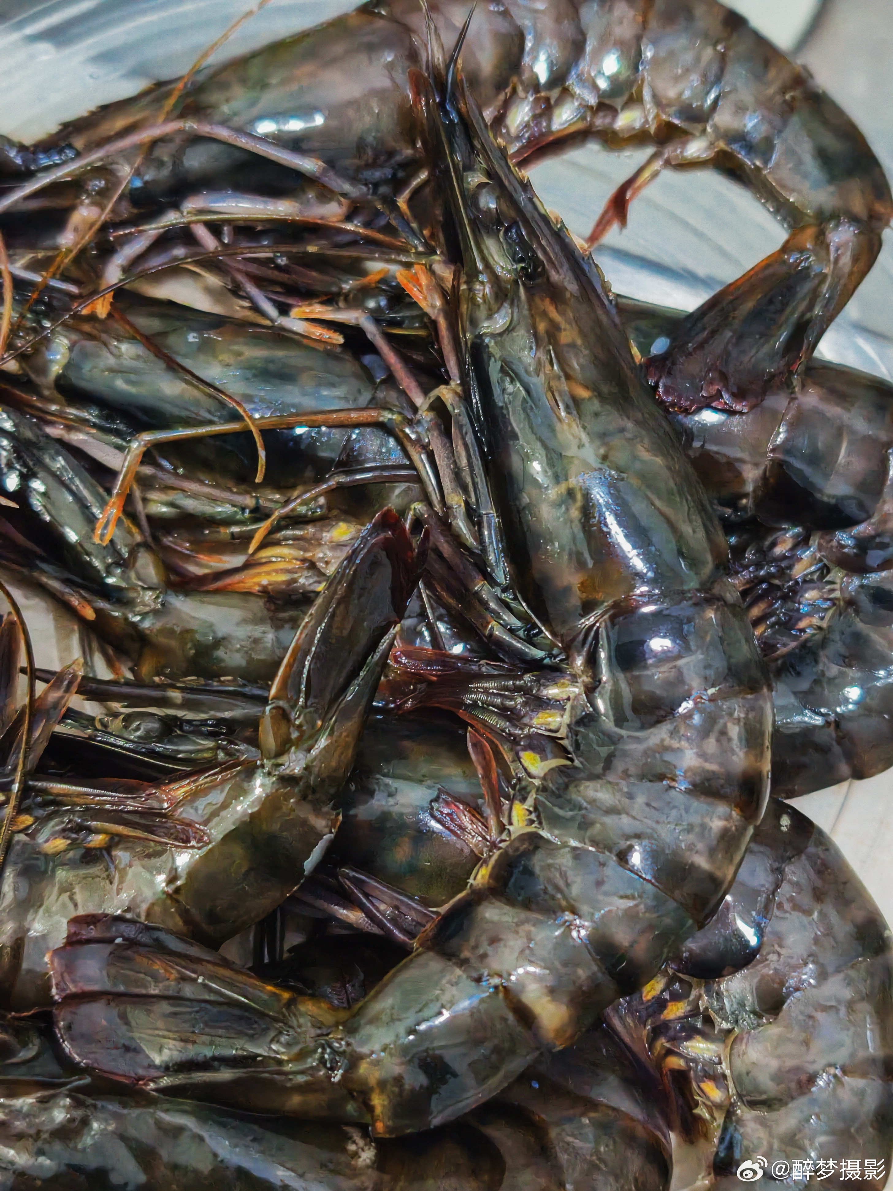 今晚家里吃九节虾ShotonvivoX300pro