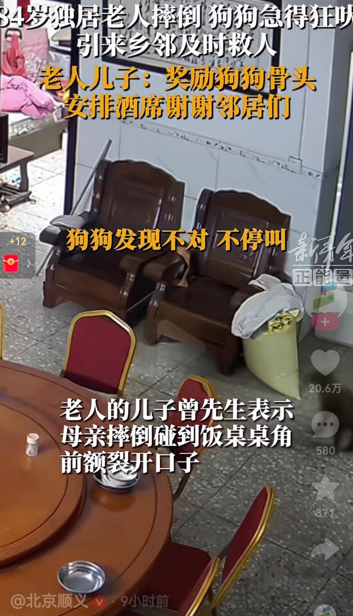 这次多亏了狗狗！狗狗真的立大功了！84岁独居老人不慎摔倒，不幸的是，额头碰到了饭