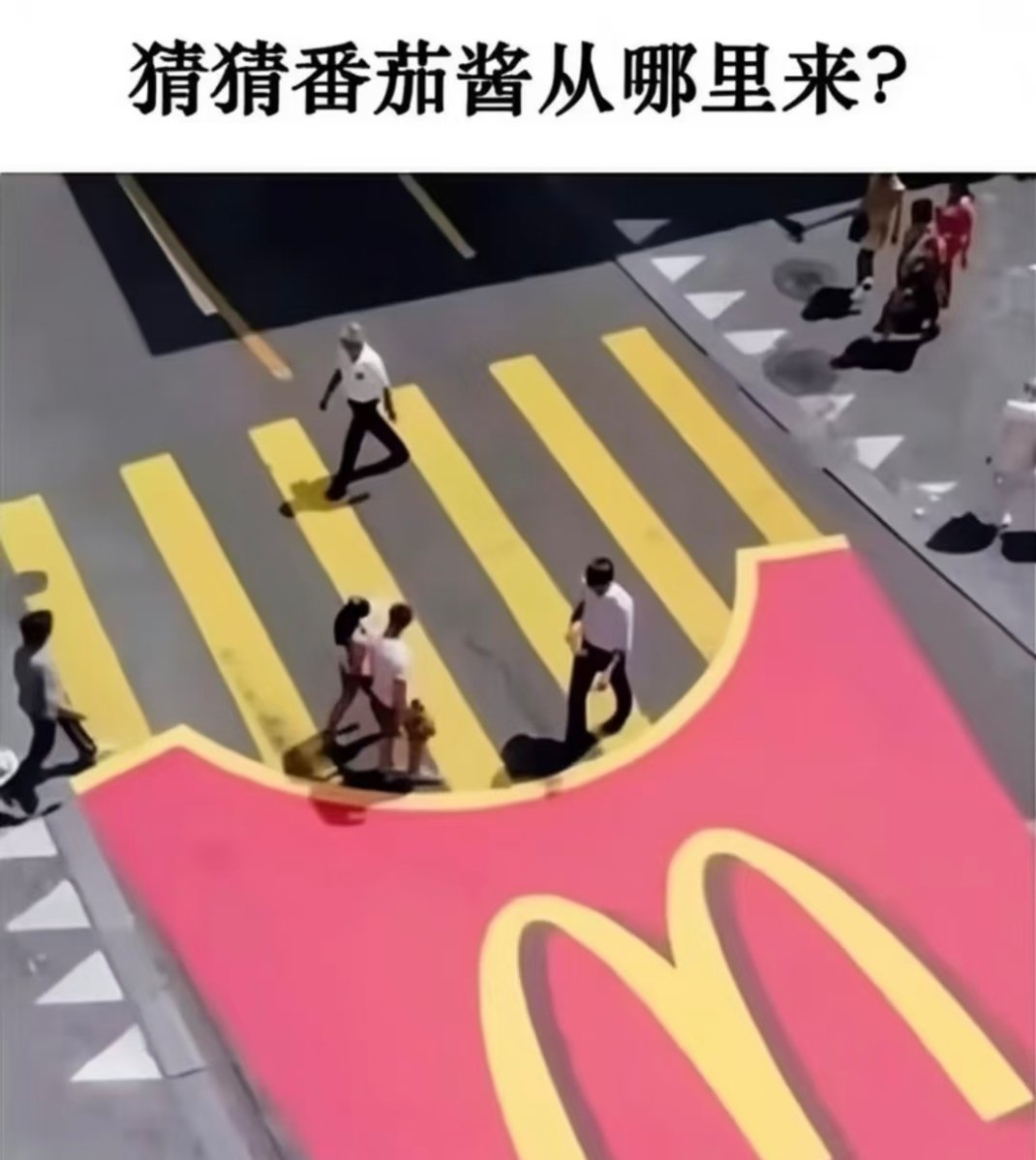 艹。。。