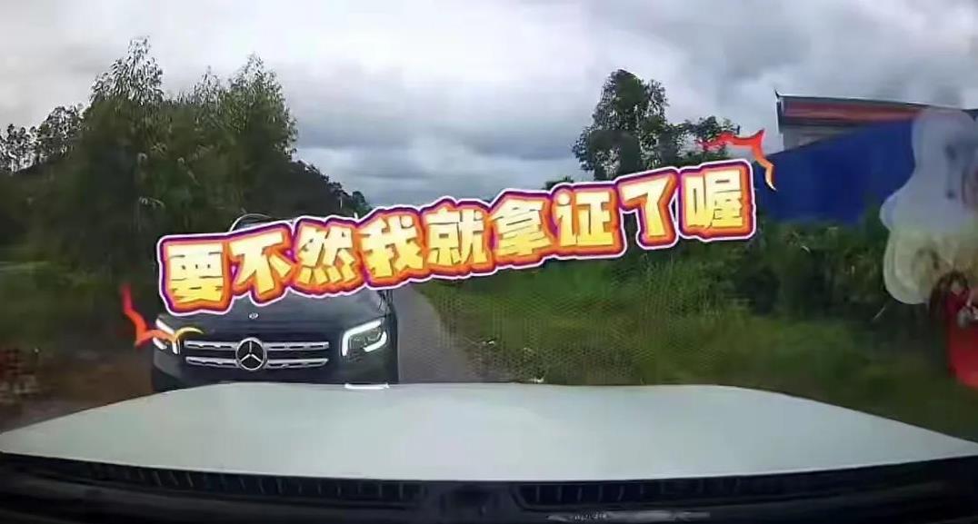 奔驰亮证姐没想到，事情越做越大，现在找到了村委前不久，本来一个小小的车会面，俩