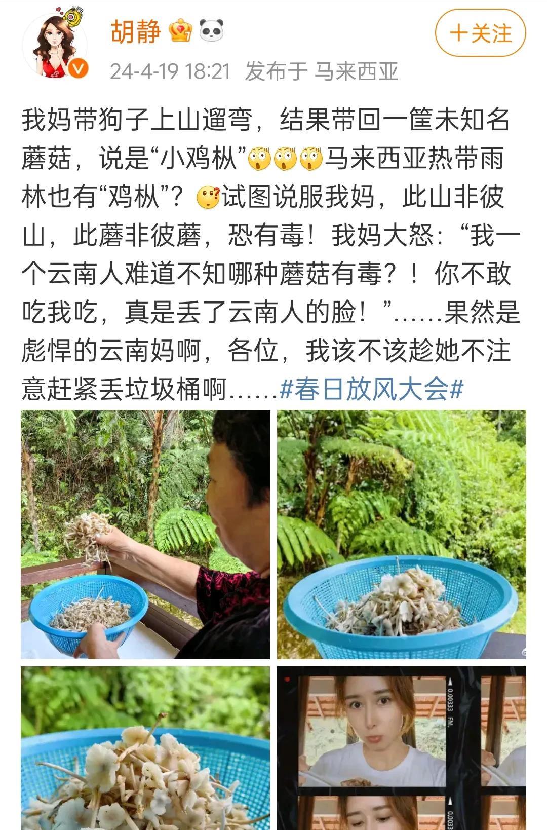 看到胡静妈妈用的这个洗菜盆眼熟不，家里应该都有吧！没想到她那么有钱，用的东西很接