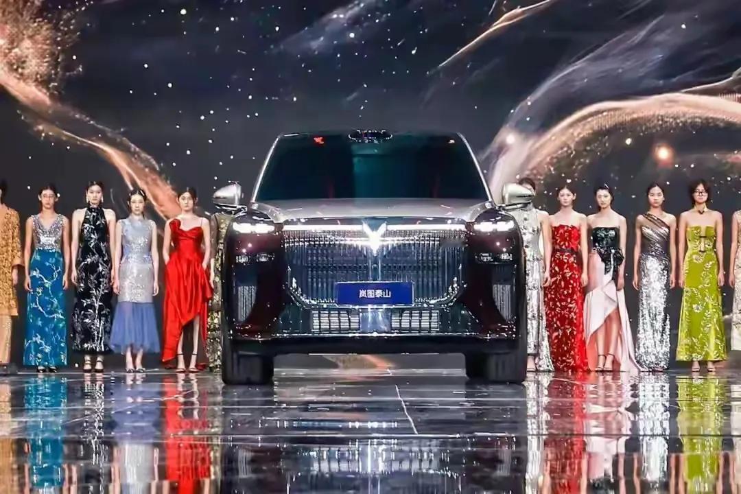 岚图实现盈利！岚图在新能源汽车行业毛利率排名第二，已在2024年第四季度首次实