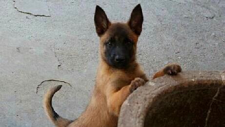 16121536979558676380.jpg?id=0