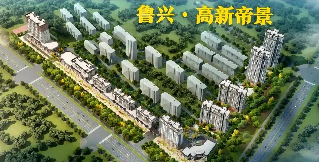 鲁兴·高新帝景项目是济宁市极为著名的闲置地块，其开发建设始终是市民关注的焦点。