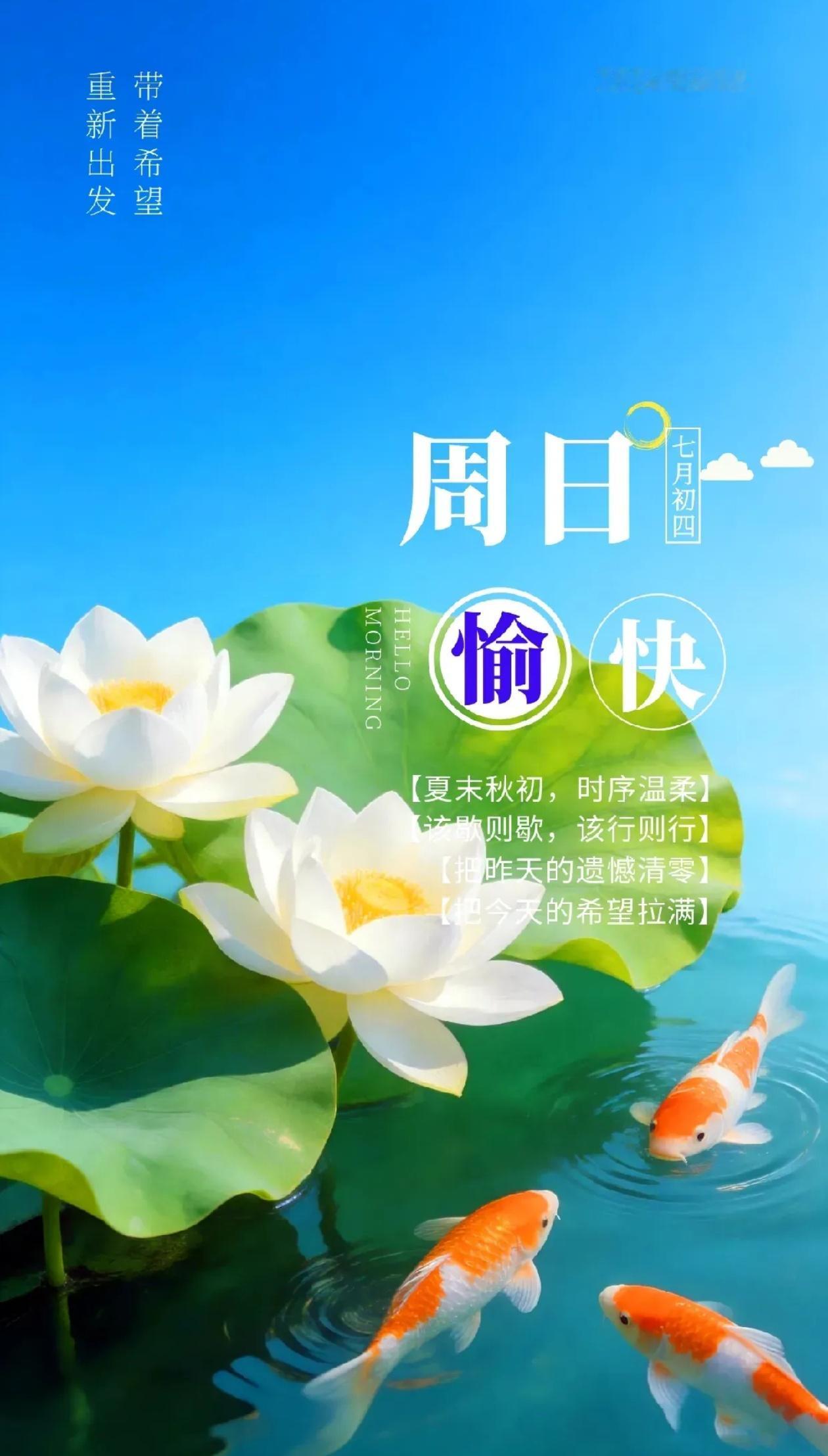 秋晨寄语，风染千山秀色，秋融万里晴光。2026./08.16.[玫瑰