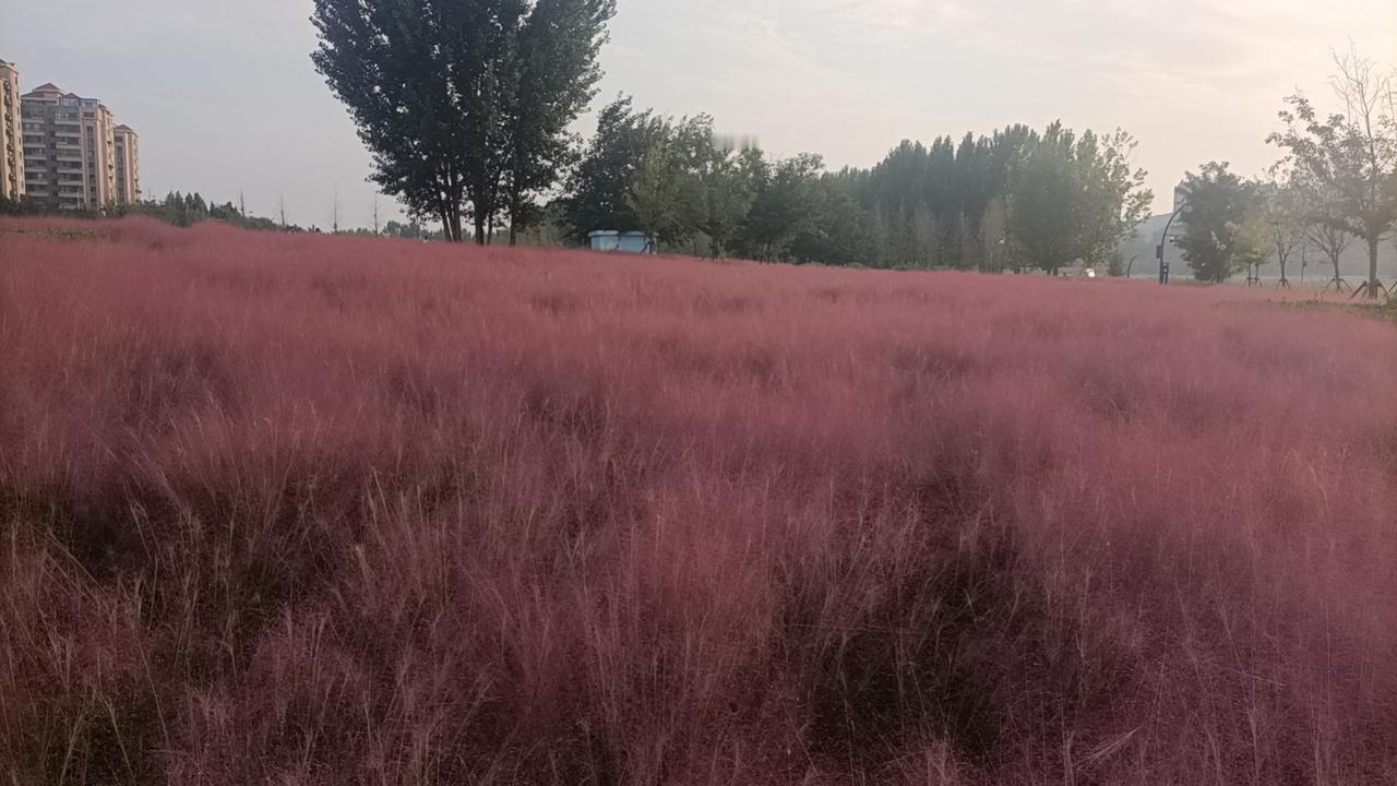 一手好牌打的稀烂我的同事姓周，他在一所初中任教。那时候虽然老师工资不高，但