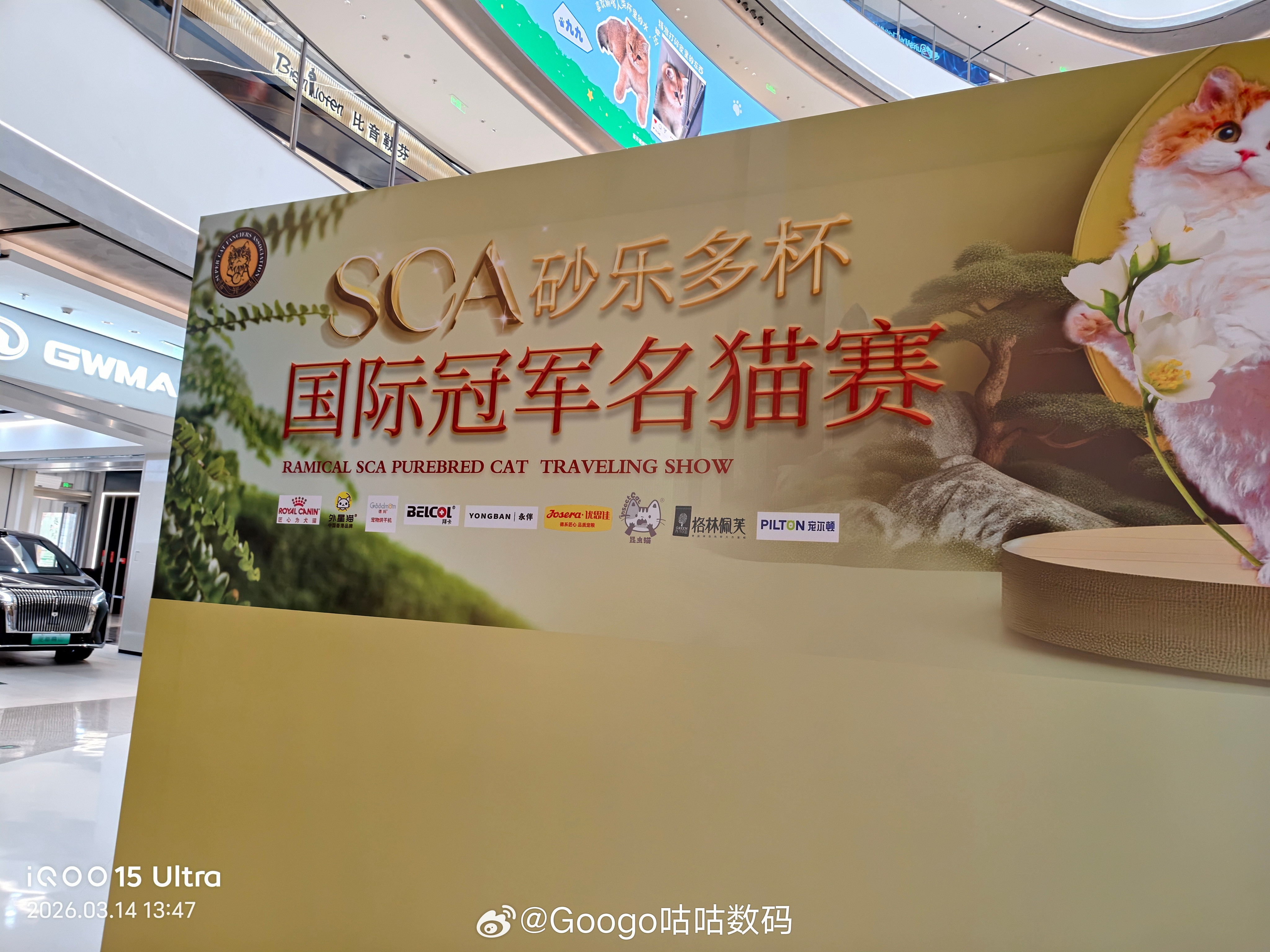 iqoo附近举办猫猫大赛拿着iQOO15U就来拍照。不论是3倍还是10倍细节都