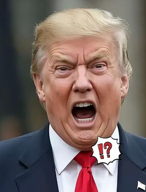 匈牙利全国上下几乎都在忙着国会大选投票，这本该是匈牙利人自己决定国家走向的日子，