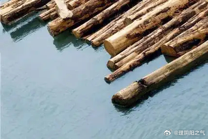 八字专批水多木漂古诀:水能生木，水多木漂。水本是木的印星，滋养木;但水势泛滥成