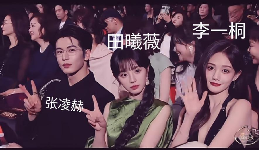 导演一定是觉得，毛林林的儿子女儿们一定很漂亮。所以，张凌赫和田曦薇演《逐玉》时