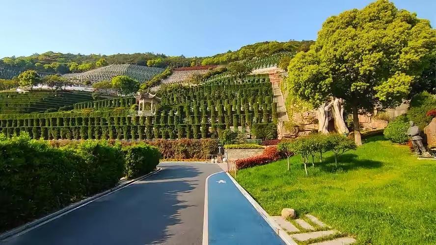 3月30日殡葬新规要落地，一边是老百姓拍手叫好的“殡葬自由”，一边是从业者犯愁的