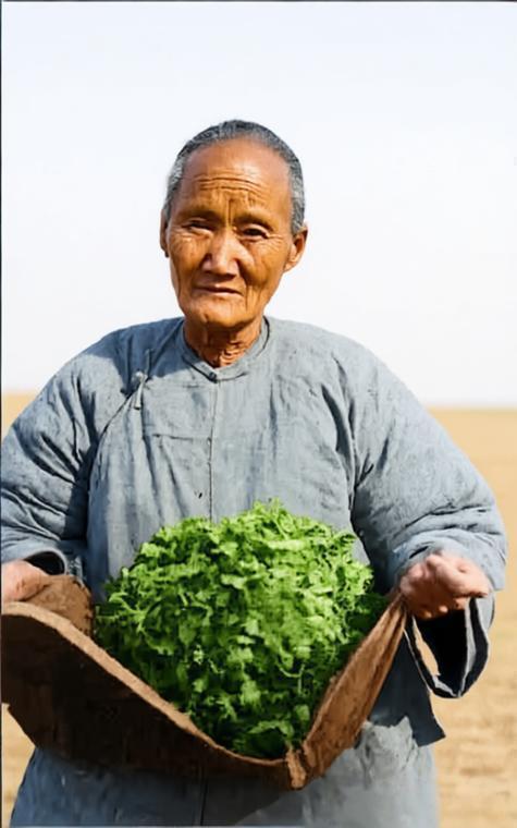 1921年，北方大饥荒中，一位老人为生存挣扎的瞬间。1919—1921年，华北