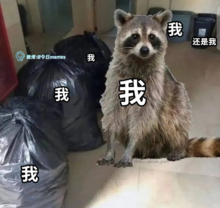 幻影长矛手（9gag）今日meme今日memes