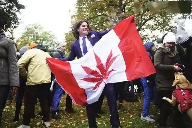 叶赫那拉的诅咒竟然成真！每一个拿了辛丑条约银子的国家都会变成大清，北美病夫也正在
