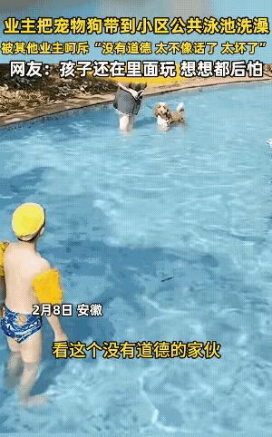 女子竟将自家狗狗带到小区公共泳池洗澡，池子里还有小朋友在玩，真的没有公德心。细心