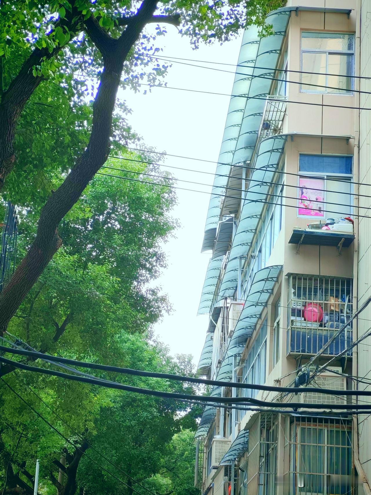 60岁二婚20年，朋友说：半路夫妻，永远是外人！朋友今年60岁，和现任老伴