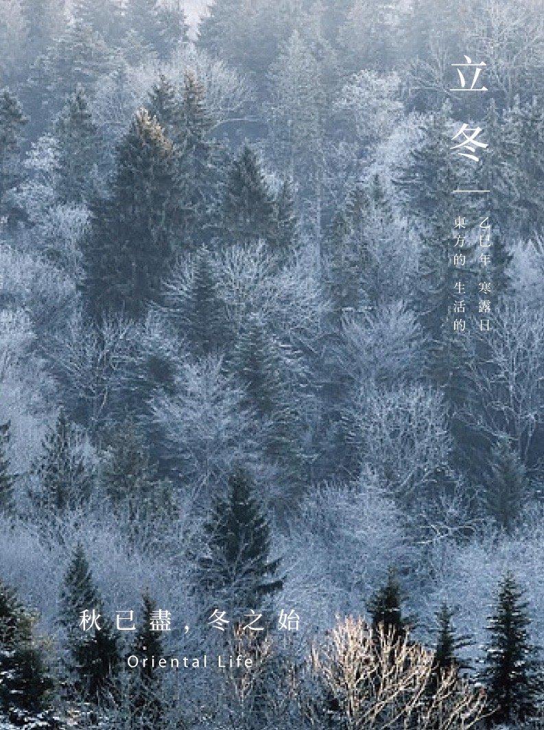 立冬，进入年末了...