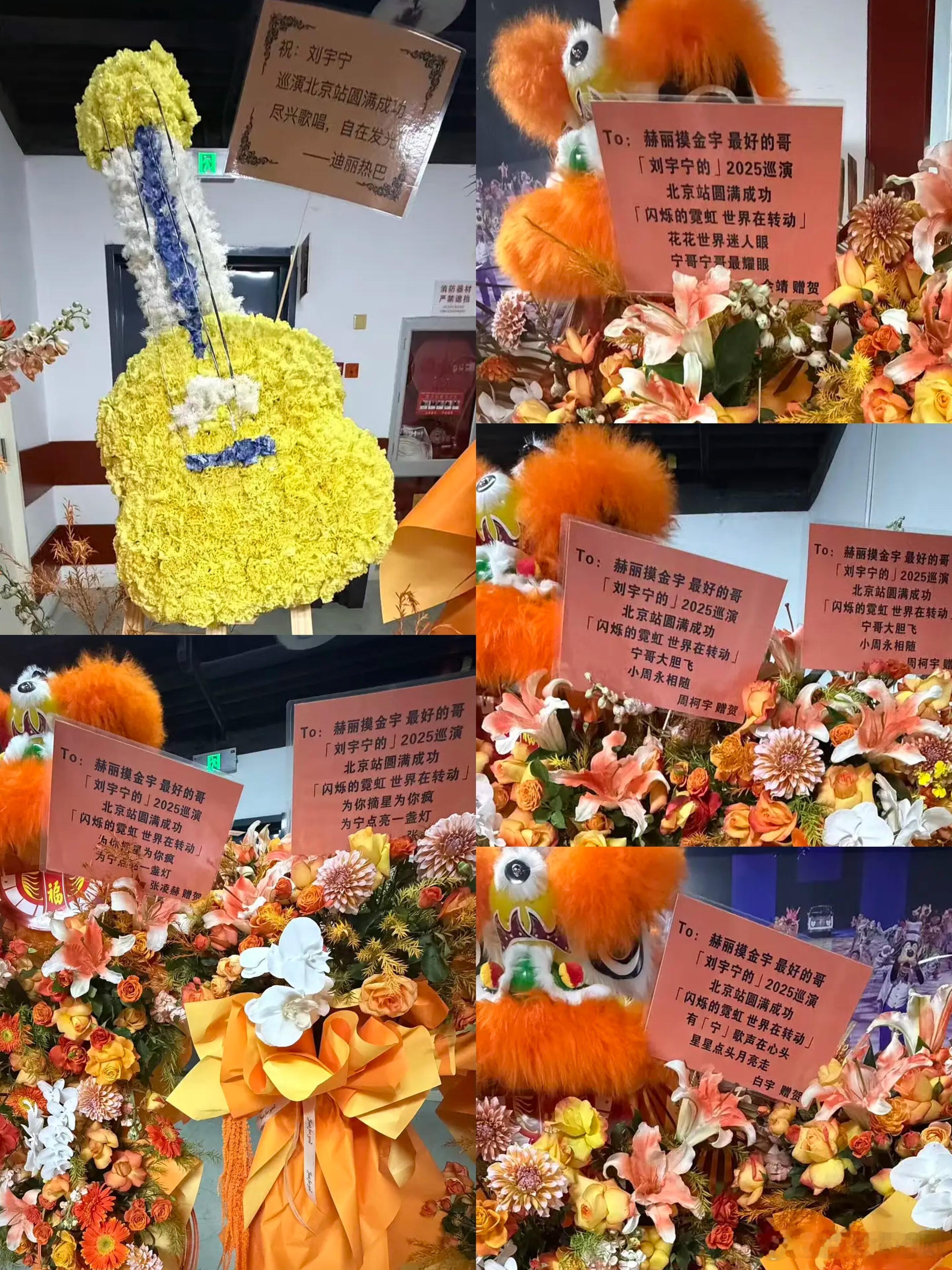 就这个赫丽摸金宇花篮爽，刘宇宁应援词大赏“宁哥大胆飞，小周永相随”——周柯宇“为