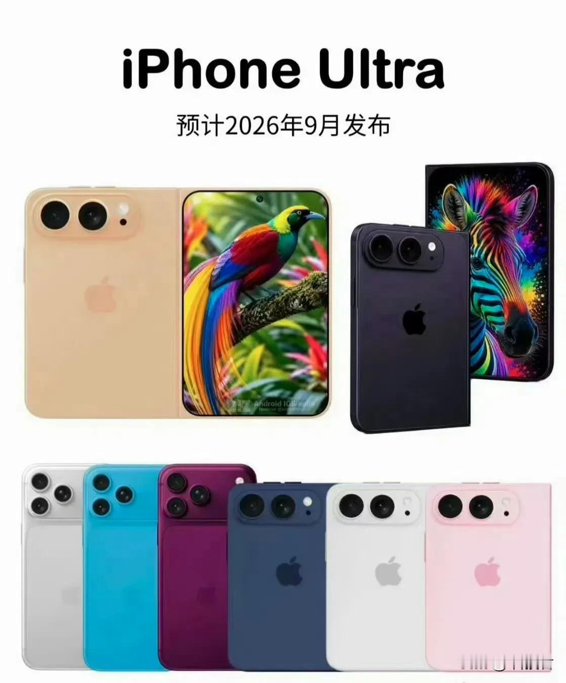 苹果发布会主要的看点还是在于手机3款新的：iPhone18ProiPh