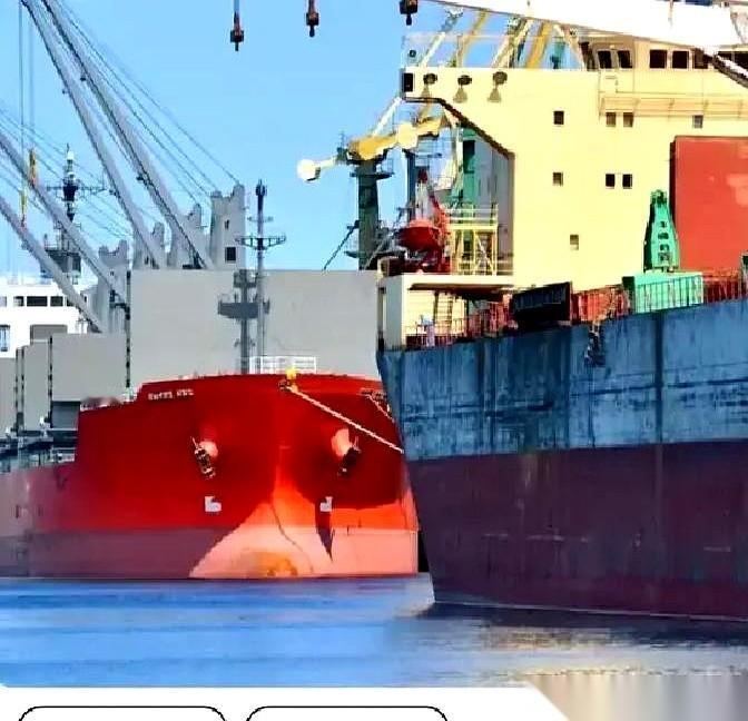 真敢啊。6.9万吨本来该干干净净的大豆里，硬是给你掺了10吨用剧毒农药拌过的麦