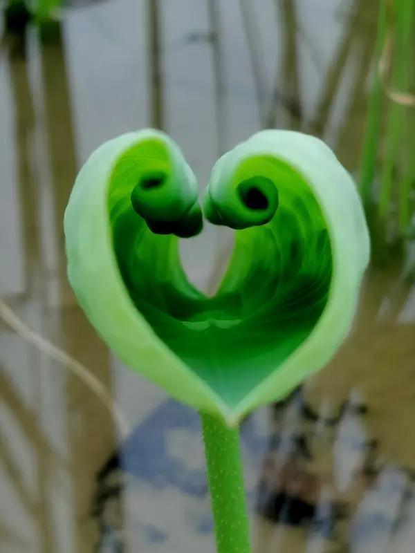 一个社会真相：女孩子如果特别擅长家务和家事的管理，千万不要选择过于贫穷的家庭，