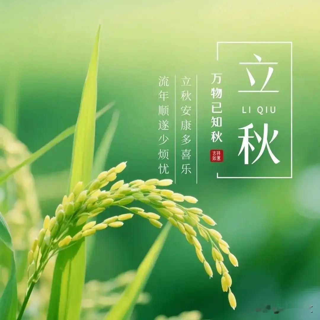 立秋下雨万物收，无雨是空秋！种地人聊聊这句老话村里种地的老人常念叨：立秋