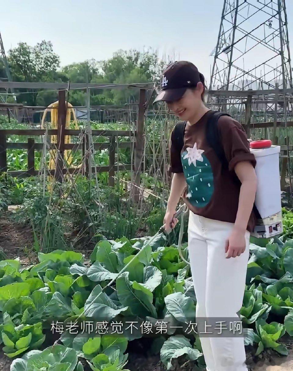 梅婷家有一个大菜园子，这个菜园子的菜都是她的公公种的，梅婷没事的时候也过来帮公公