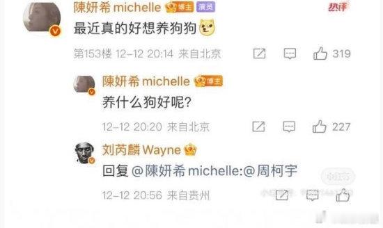 刘芮麟也在嗑陈妍希周柯宇《狙击蝴蝶》陈妍希问养什么狗好呢？刘芮麟回复陈妍希并艾特