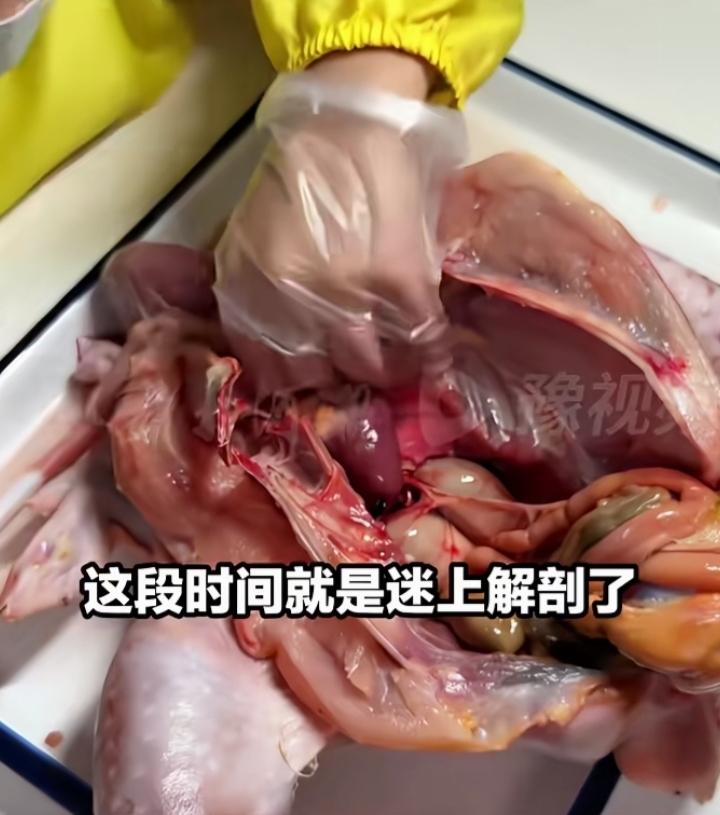 惊呆！近日，辽宁东港一名9岁男孩凭超强动手能力走红网络。男孩爷爷奶奶都是医生，从