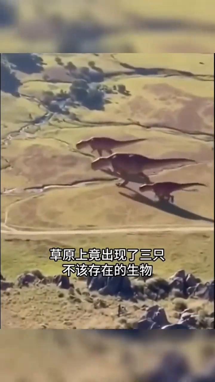 世界上真的有未知生物吗？这些画面你可能从未见过。深山峡谷里无人机拍到了一群不该
