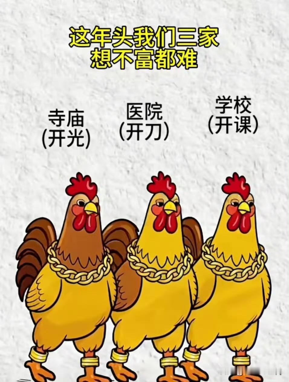 网友太有才啦[大笑][大笑][大笑]