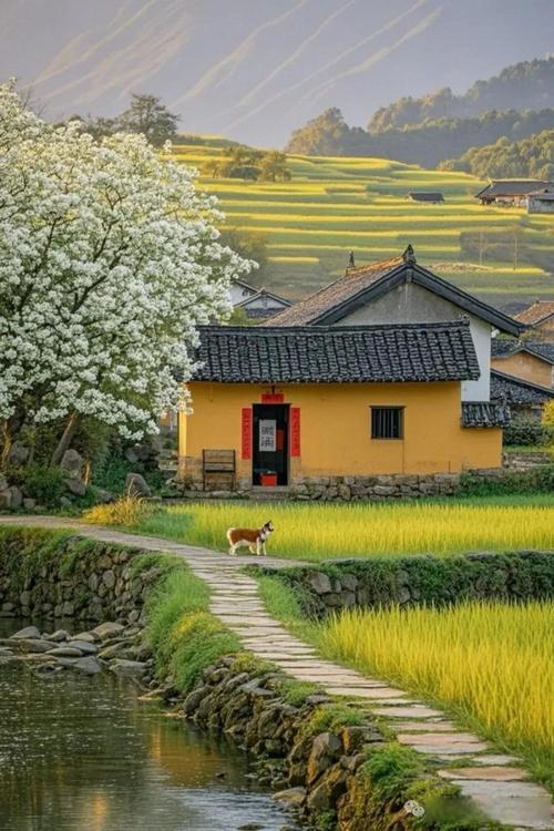 人生低谷时才懂：能靠得住的，从来都是装在脑子里的知识不知道你们发现没有，在