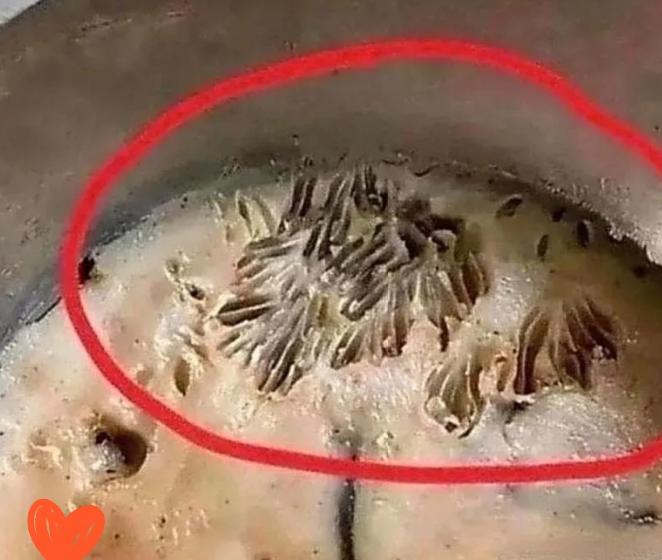 熬猪油这事，看着简单，里面门道不少。你老公熬了两个多小时，最后油色发黄结块，问