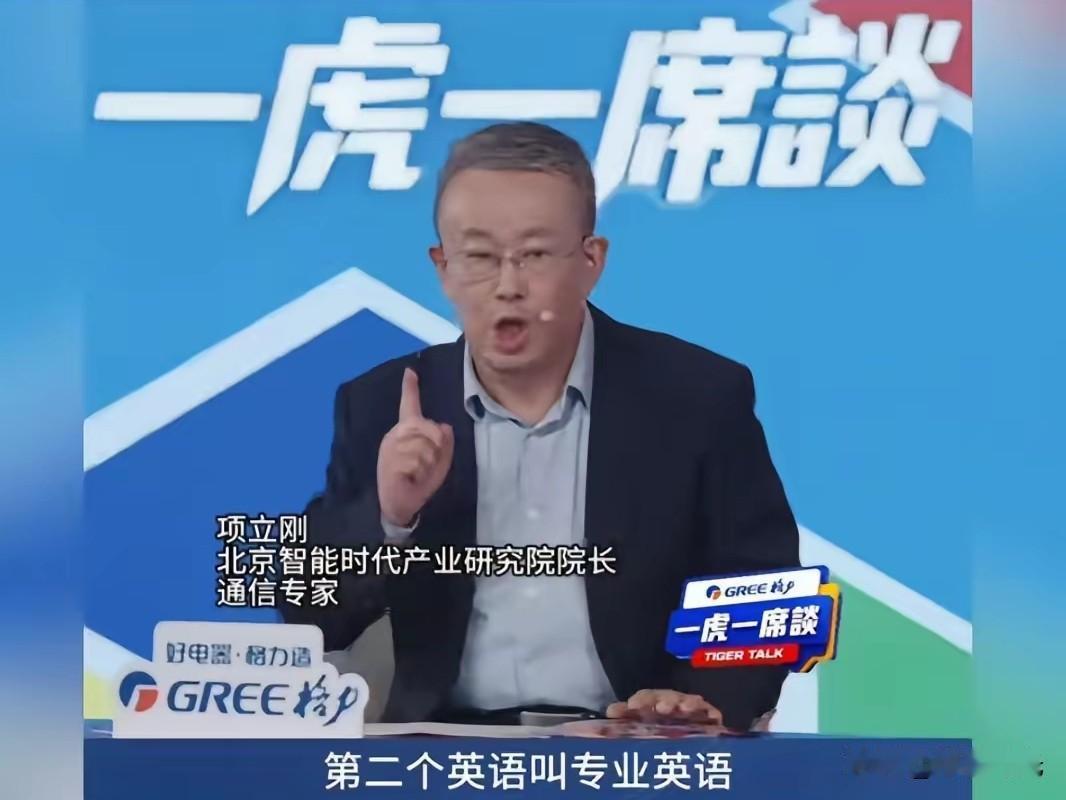 非常认同项立刚在凤凰卫视《一虎一席谈》辩论时提出的一个观点。他将英语划分为通用英