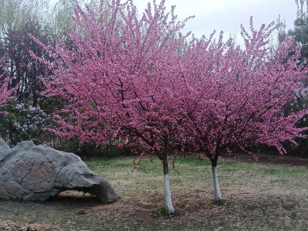等我突然有钱了———1、封：不让任何人知道，包括父母！2、清债：逐步把之前
