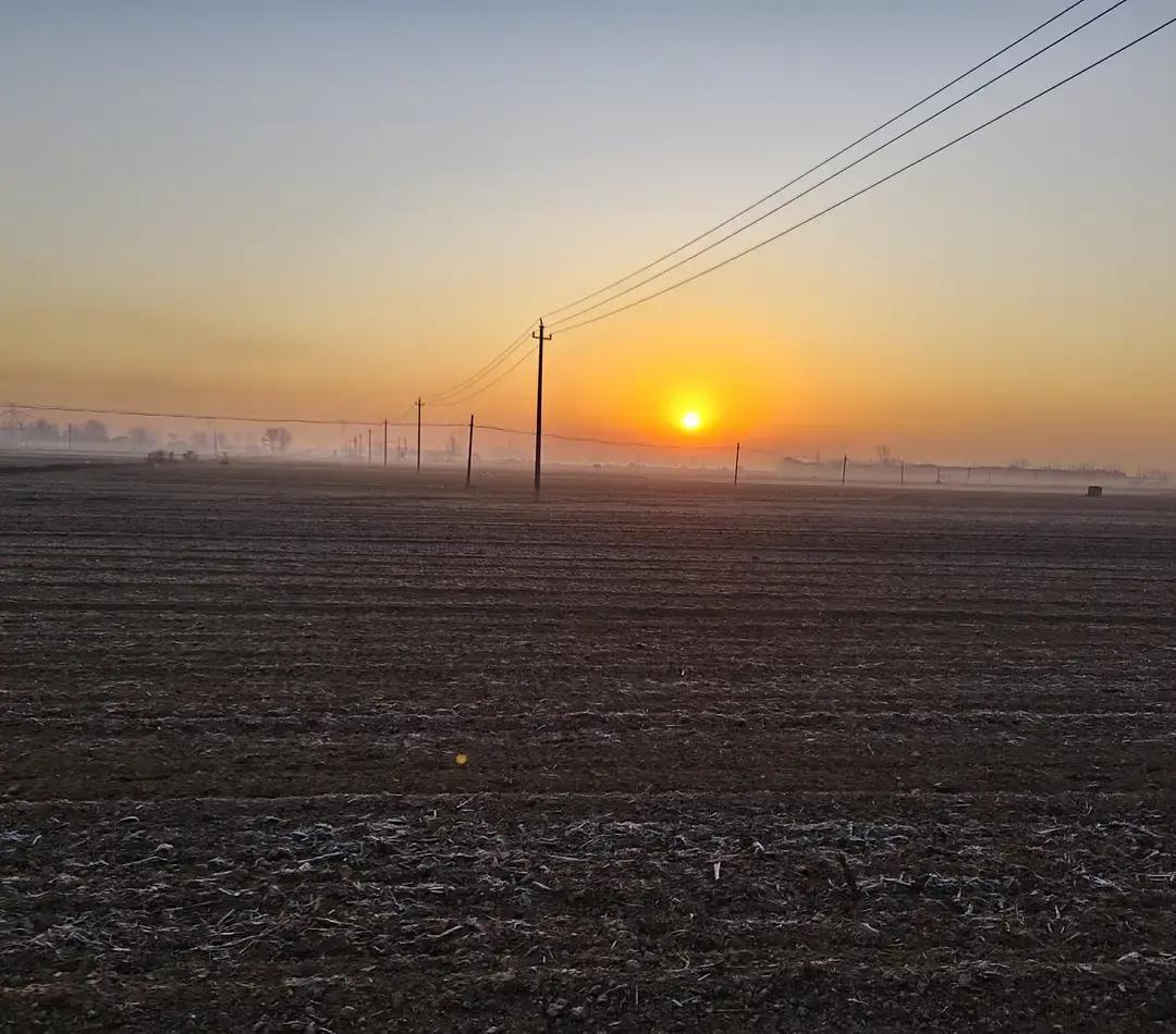 关于造假的问题。前几年的时候，我们这边查出来过假的党党员员。我听村里干部一