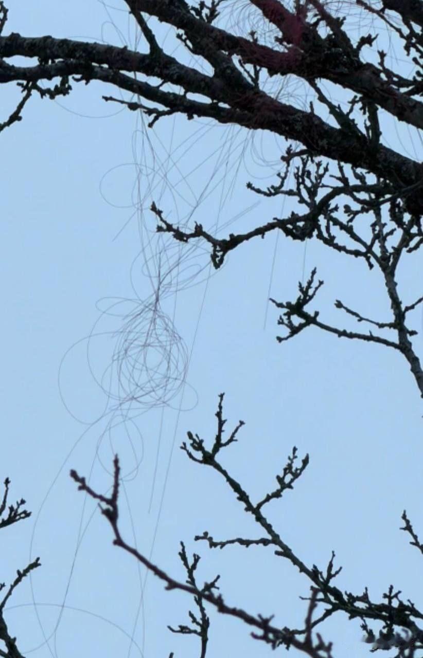 乌克兰国防部顾问：这是重大威胁，俄军光纤制导无人机已能飞抵哈尔科夫乌国防部