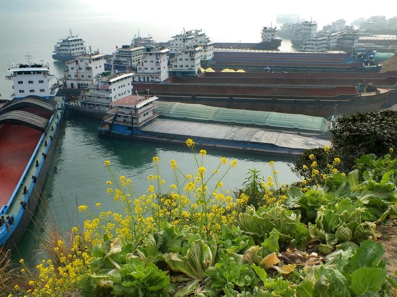 员工不经意地多瞅了一眼，就像火眼金睛的孙悟空发现妖怪一样，察觉到一处钢架变形，一