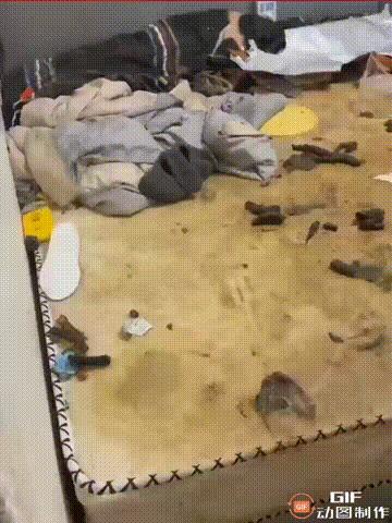 安徽亳州一对情侣租了一间房子，两人还分别养了一只小狗，谁料有一天房东找两人催收房