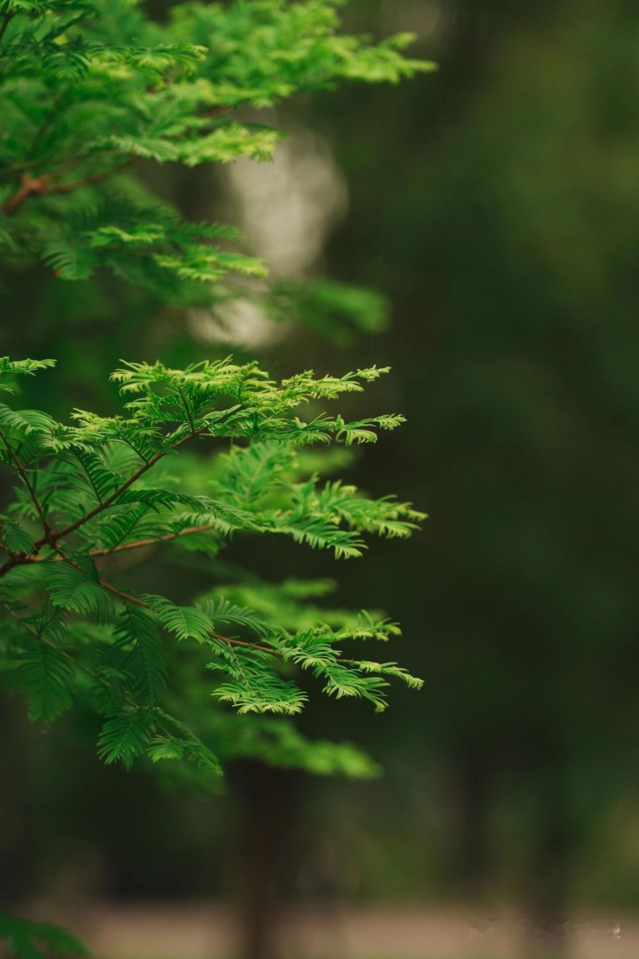 天蝎座很难被pua当你开口说出带套路的第一句话，他们已经警铃大作，这种直觉