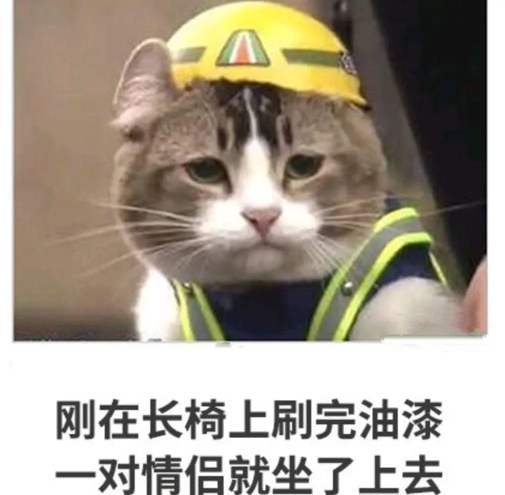 猫猫无语哈哈哈哈哈哈哈哈搞笑图片梗图合集