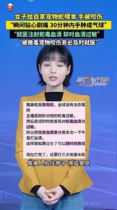 太离谱了！江苏一女生在家饲养了一条宠物猪鼻蛇，却因疏忽连续三四个星期没有给蛇喂食