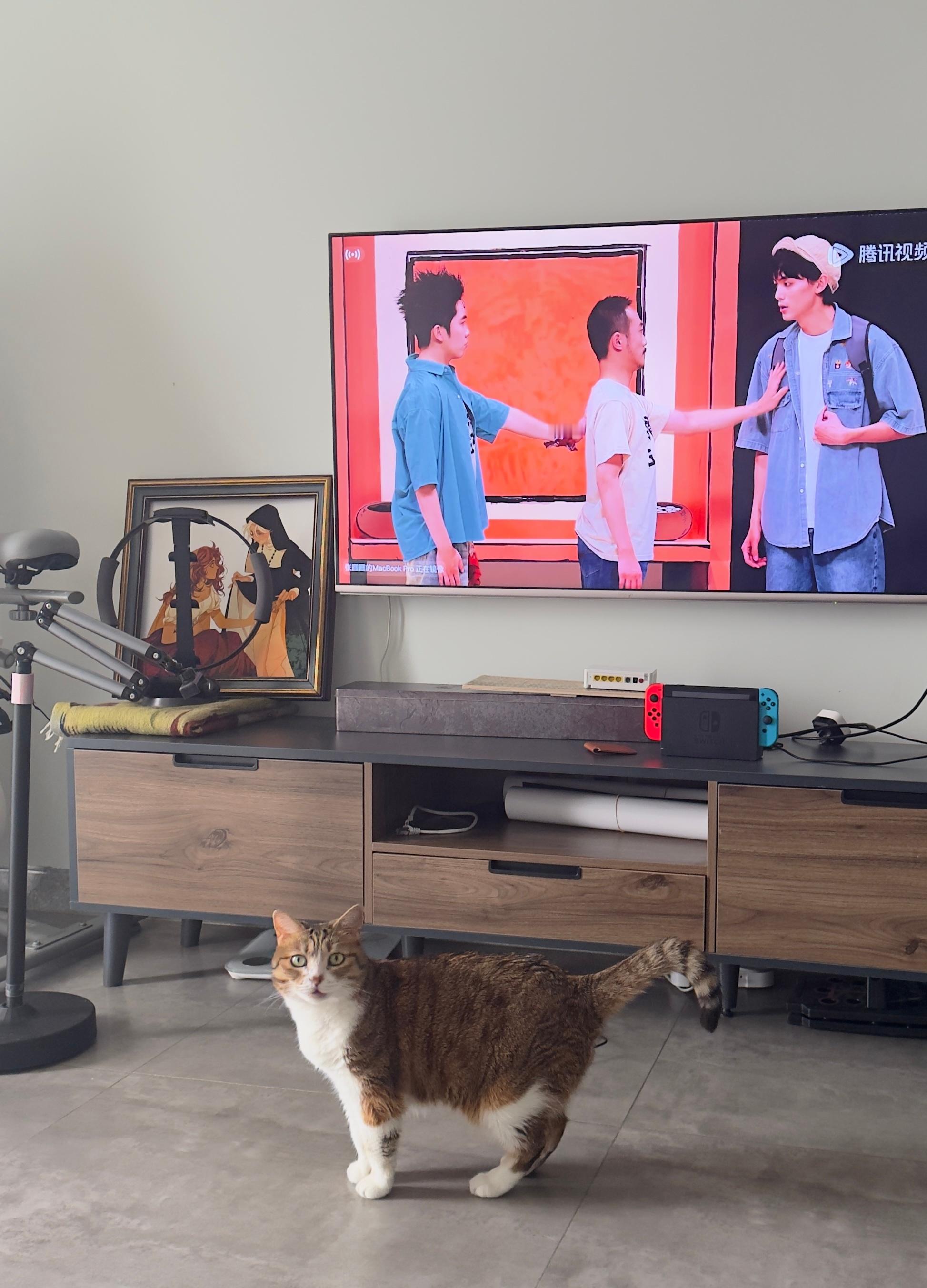 再让本猫猫听这个我就扎聋我自己的耳朵！