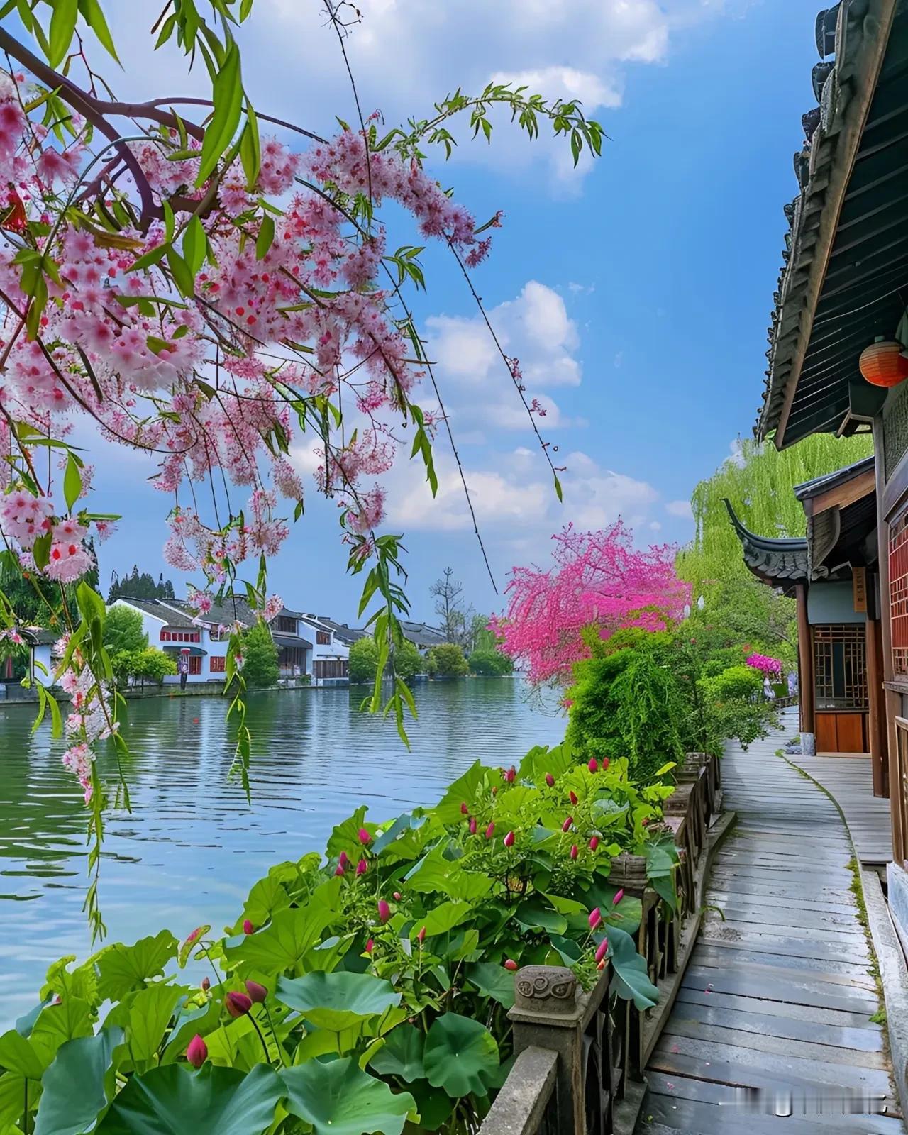 性学专家李银河一段大彻大悟的话：“人不过就是一粒宇宙尘埃，就是一个蠕动的人形，