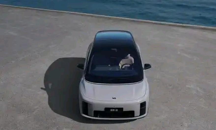 理想汽车在2024年8月创下月交付4.8万辆的高峰，但一年后销量大幅下滑，202