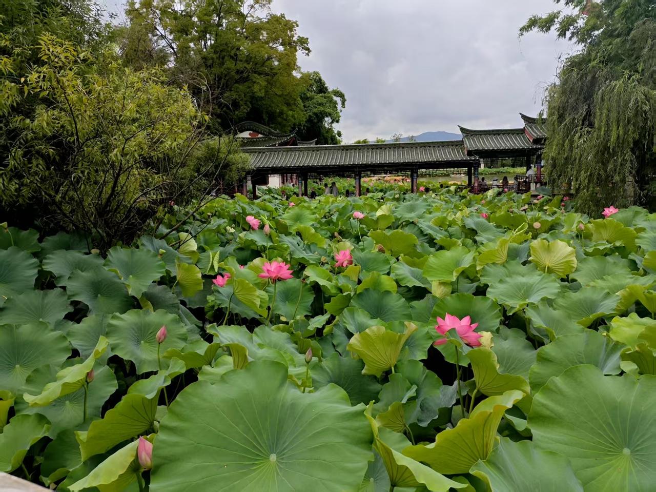 【08.07修身心语】您好！与任何人相处，分寸感永远是必要的潜规则，不该问的