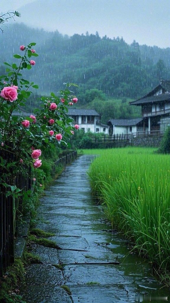 青径蔷薇沾细雨，山野藏尽温柔～寻美河南