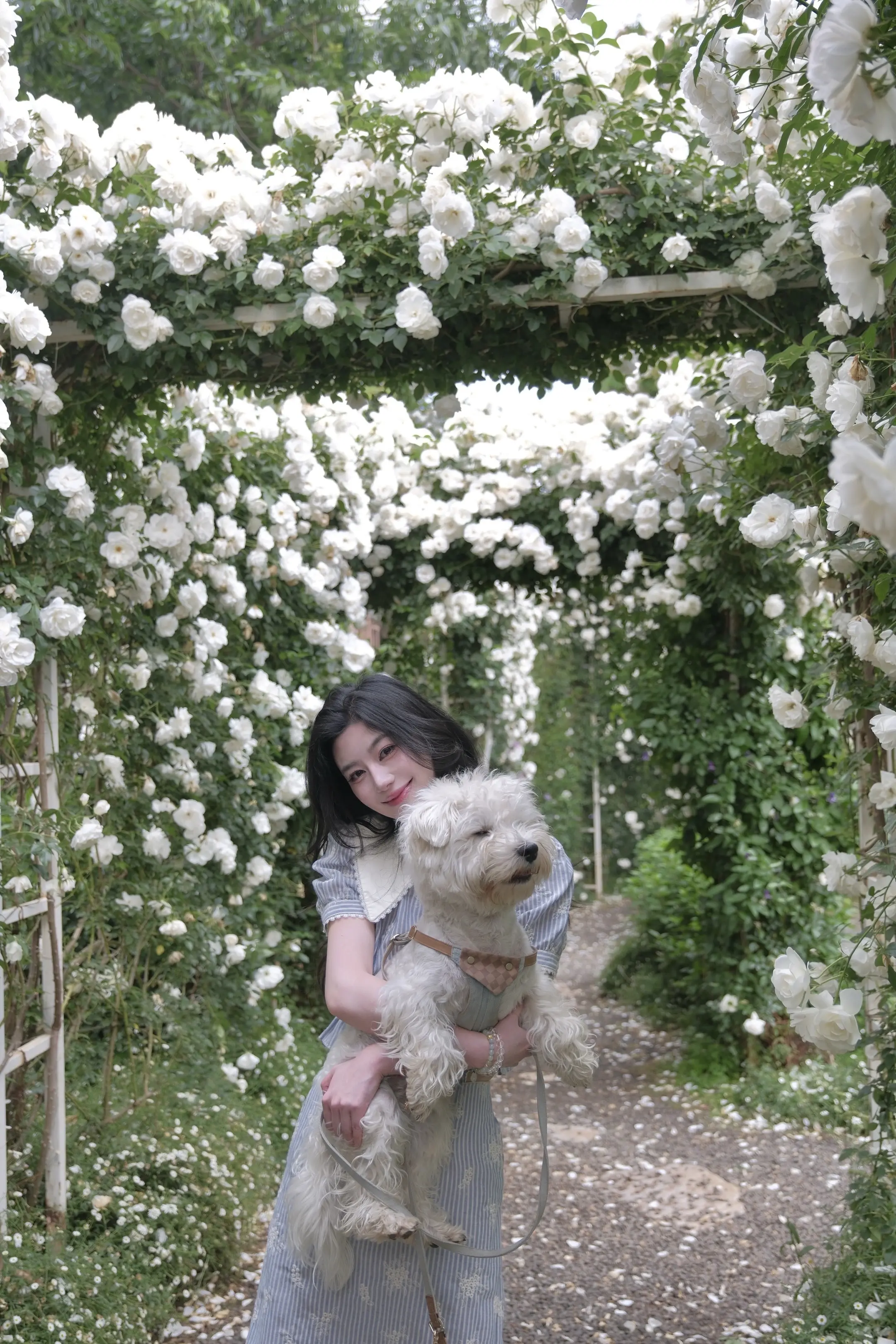 和小狗一起的夏天☁️